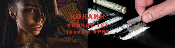 соль ск Дмитров