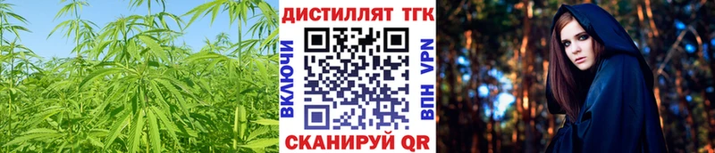 ТГК THC oil  omg   Омутнинск 